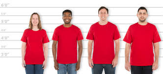 customink com sizing line up for hanes