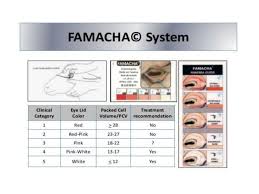 Famacha Uses And Limitations
