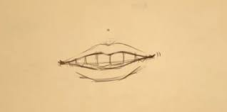 discover how to draw teeth for