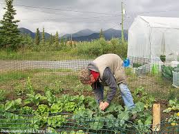 Alaska Project Receives Going To Garden