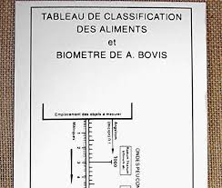 Rare Classification Pendulum Vibration Scale Chart Bovis Scale Dowsing Biometer