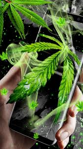 Video extraido de cannabis indoor. Schone Marihuana Und Gras Live Wallpaper Fur Android Apk Herunterladen