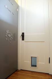 Pet Door Basement Decor Cat Door