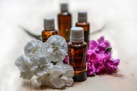 plant therapy essential oils made