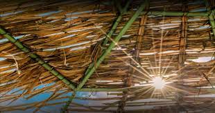 breaking down the bamboo ceiling