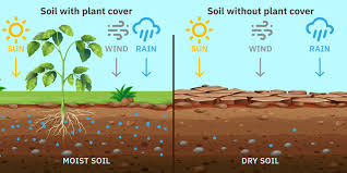 soil conservation methods for