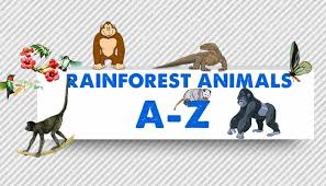 So here are 10 amazing tropical rainforest animals and a list containing a few facts and pieces of information regarding their life. Rainforest Animals List A Z General Knowledge Mocomi Kids