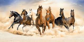 running horses images browse 159 576