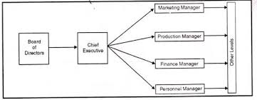 Organization Charts Types Principles Advantages And