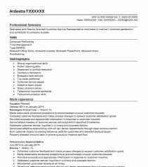 Personal Vacation Planner Resume Example Carnival Cruise