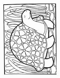 Poppy Flower Coloring Pages Printable Coloring Pages