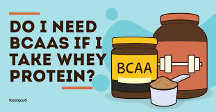 do i need bcaas if i take whey protein