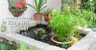 Small Pond Ideas For Patios Gardens