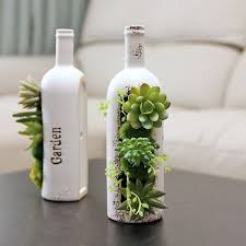 succulents wine bottle apollobox