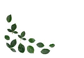 green leaves png images free