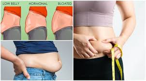 8 types of belly fat which one do you