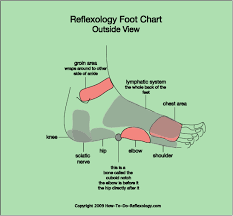 Reflexology Foot Map Diagrams Charts Including Step By