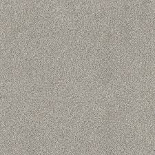 texture carpet castine best h2o
