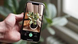 best plant identifier apps to help keep