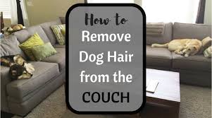 remove pet hair from a fabric couch