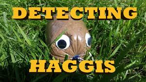 Put the haggis in a pan of boiling water (enough to cover it) and cook for 3 hours without a lid. Detecting Wild Haggis In Scotland 238 Youtube
