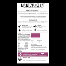Maintenance Cat