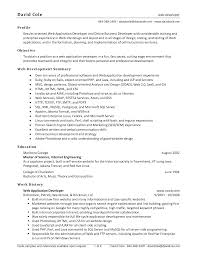    Resume Objective Examples   Use Them On Your Resume  Tips  Allstar Construction Software Engineer Advice