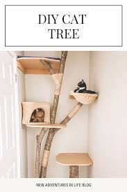diy cat tree free plans new