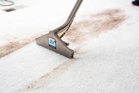 zerorez carpet upholstery cleaning