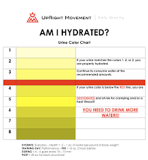 Hydration 101 Upright Movement