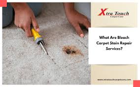 what is bleach carpet stain repair
