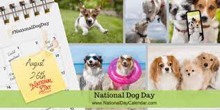 National dog day is celebrated on august 28 every year. National Dog Day August 26 National Day Calendar
