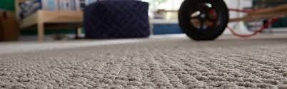 reviews simply clean carpet care