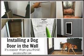 Dog Door In The Wall Installation