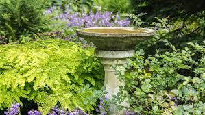 There is nothing like having birds and bees in your garden, so give them a reason to be there. How To Position Bird Baths