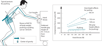 Ergonomics The Prevention Of Occupational Injuries