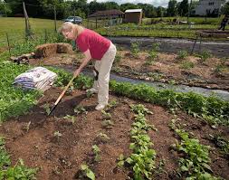 Organic Gardening It S Benefits And