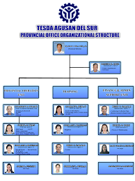 Organizational Structure Tesda Agusan Del Sur Provincial