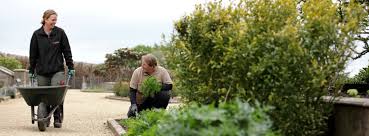 Belsay Garden Volunteer English Heritage