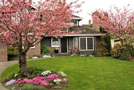 Flowering Trees And Shrubs Guide For