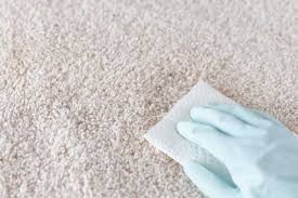 remove urine stains from clothes and carpet