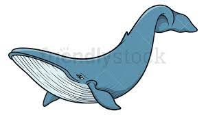 blue whale cartoon clipart vector