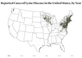 Why Is Lyme Disease So Hard to Understand? - The Atlantic
