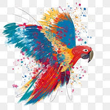 parrot bird png vector psd and