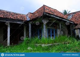 Empty Abandoned House with Tall Grass Stock Photo - Image of default, grimy: 227709144