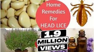 home remes to get rid of head lice