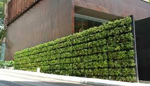 An Edible Living Wall By Tournesol
