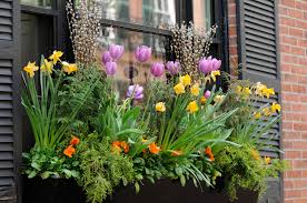 Container Gardening With Flower Bulbs