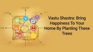 Vastu Tips These Plants Trees Bring