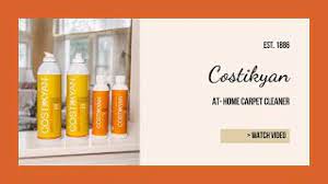 costikyan carpet and spot cleaners